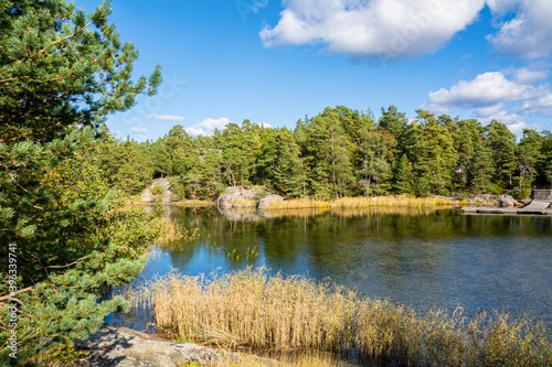 Beautiful view of Porkkalanniemi in late summer  rocks  trees  water and grass  Kirkkonummi  Finland
