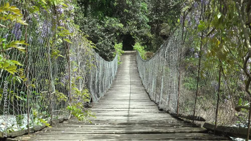 Wooden Simple Suspension Bridge Over River in Flowering Forest.A simple suspension, rope, swing, suspended, hanging, catenary bridge, is a primitive type of bridge in which the deck of the bridge 4K Wooden Simple Suspension Bridge Over River in Flowering Forest.A simple suspension, rope, swing, suspended, hanging, catenary bridge, is a primitive type of bridge in which the deck of the bridge 4K
