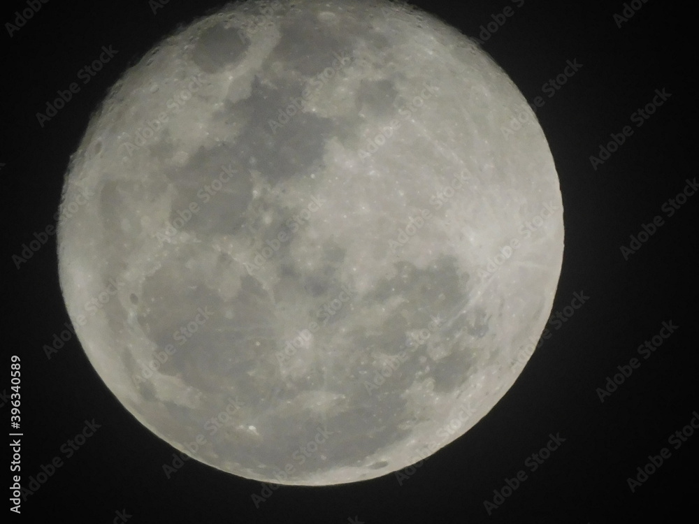 Fototapeta premium Luna
