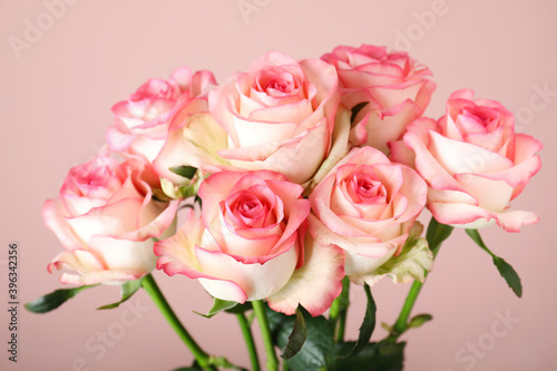 Bouquet of beautiful roses on pink background  closeup