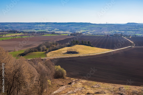 View at an agricultural landscape in spring