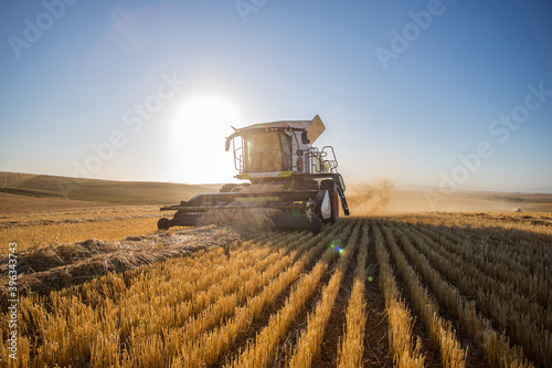 Wide angle view of a combine harvester harvesting wheat on a wheat field on a farm in the Swartland in the Western Cape of South Africa
