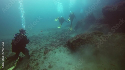 Wallpaper Mural Divers swimming in deep ocean among aquatic vegetation Torontodigital.ca