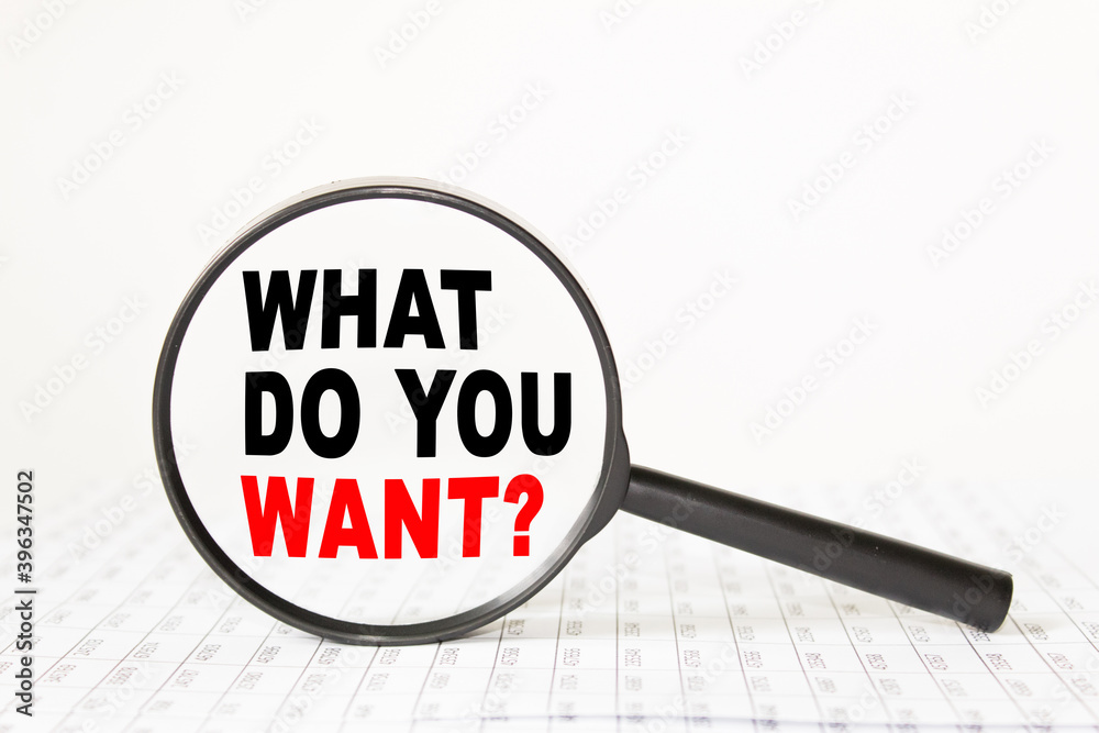 words WHAT YOU WANT in a magnifying glass on a white background. business concept words WHAT YOU WANT in a magnifying glass on a white background. business concept