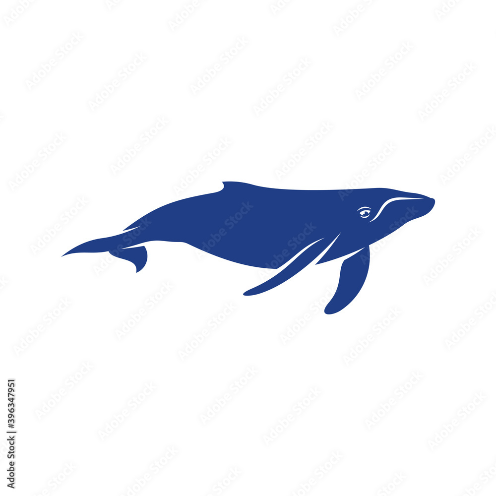 Obraz premium Whale design vector, Creative Whale illustration template