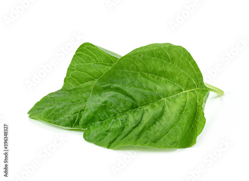 Green spinach leaf or Amaranthus viridis  in Thailand  isolated on white background  Green leaves pattern