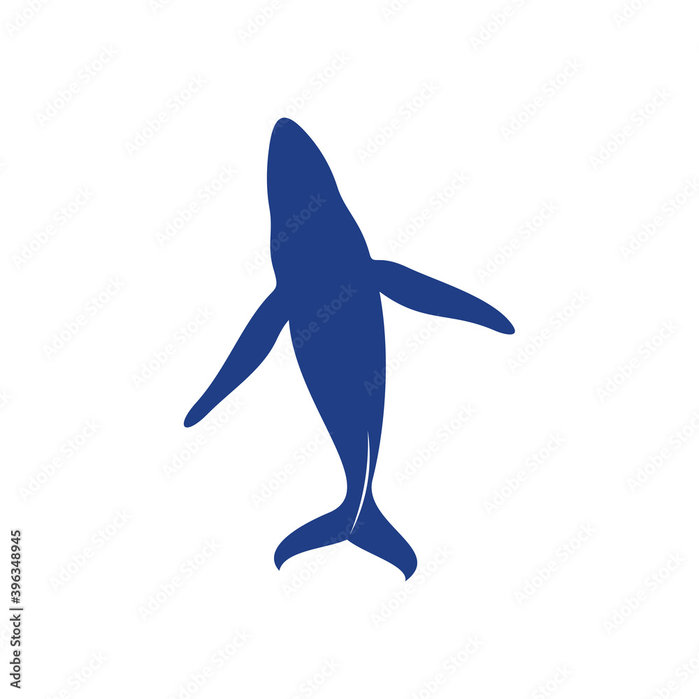 Fototapeta premium Whale design vector, Creative Whale illustration template