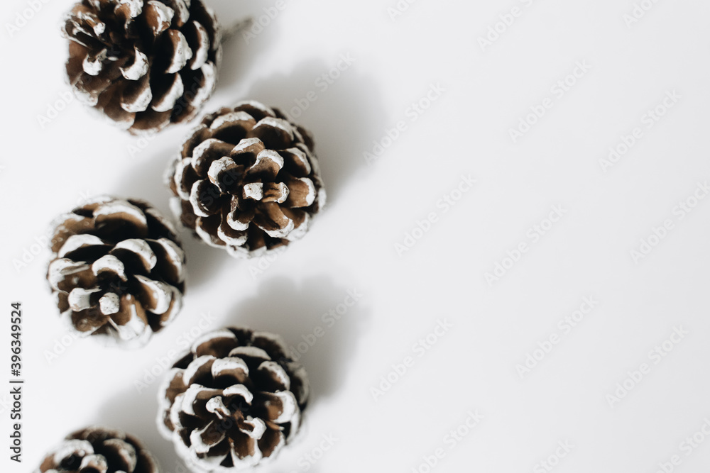 Close up of pine cones isolated on white, copy space Close up of pine cones isolated on white, copy space