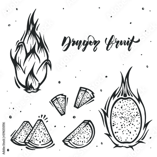 Dragon fruit. Exotic Thailand fruit in doodle style