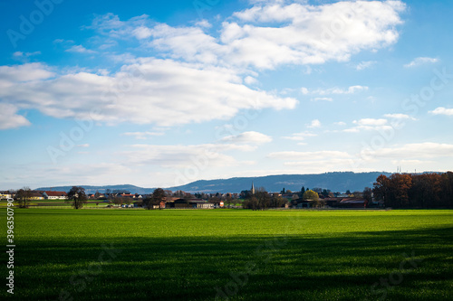 field and sky