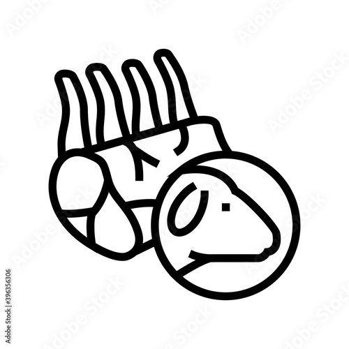 mutton meat line icon vector. mutton meat sign. isolated contour symbol black illustration