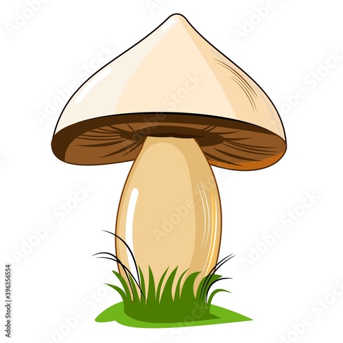 Mushroom. Isolated on white background. Cute cartoon style. Beautiful illustration. With grass. Vector