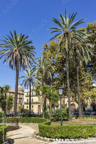 Park Villa near Cathedral of Palermo - 30 000 m2 Public Park founded in second half of XIX century. Park Villa characteristic are lush palm trees. Palermo  Sicily  Italy.