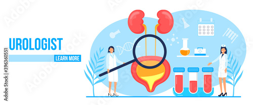 Urologist, nephropathy concept vector. Tiny doctors treat kidneys. Pyelonephritis and kidney stones diseases are shown. Renal failure illustration for website