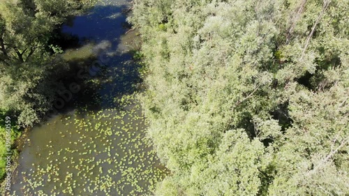 The aerial view of the oxbow lake of the Mura River in Croatia photo