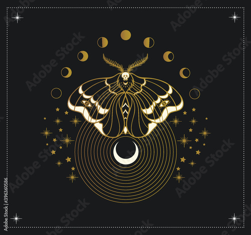 moth and cycles of the moon, mystical symbol