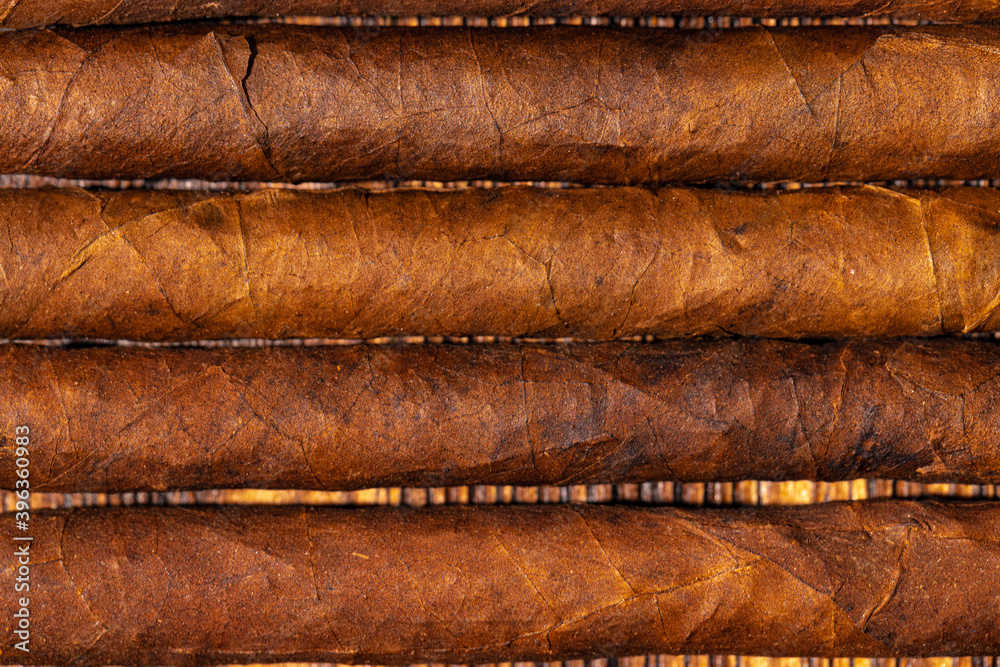Rolled cigars in a row on wooden background