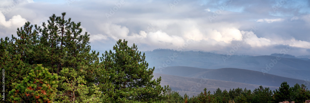 Beautiful gorgeous mountain landscape with pine forest hills and cloudy sky, banner format