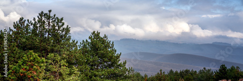 Beautiful gorgeous mountain landscape with pine forest hills and cloudy sky, banner format