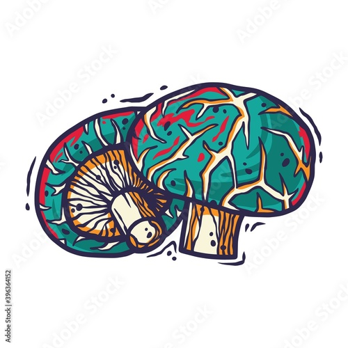 Vector illustration of shiitake. Autumn mushroom picking for vegan food and cooking design