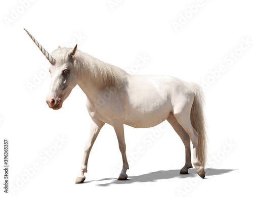 Amazing unicorn with beautiful mane on white background © New Africa