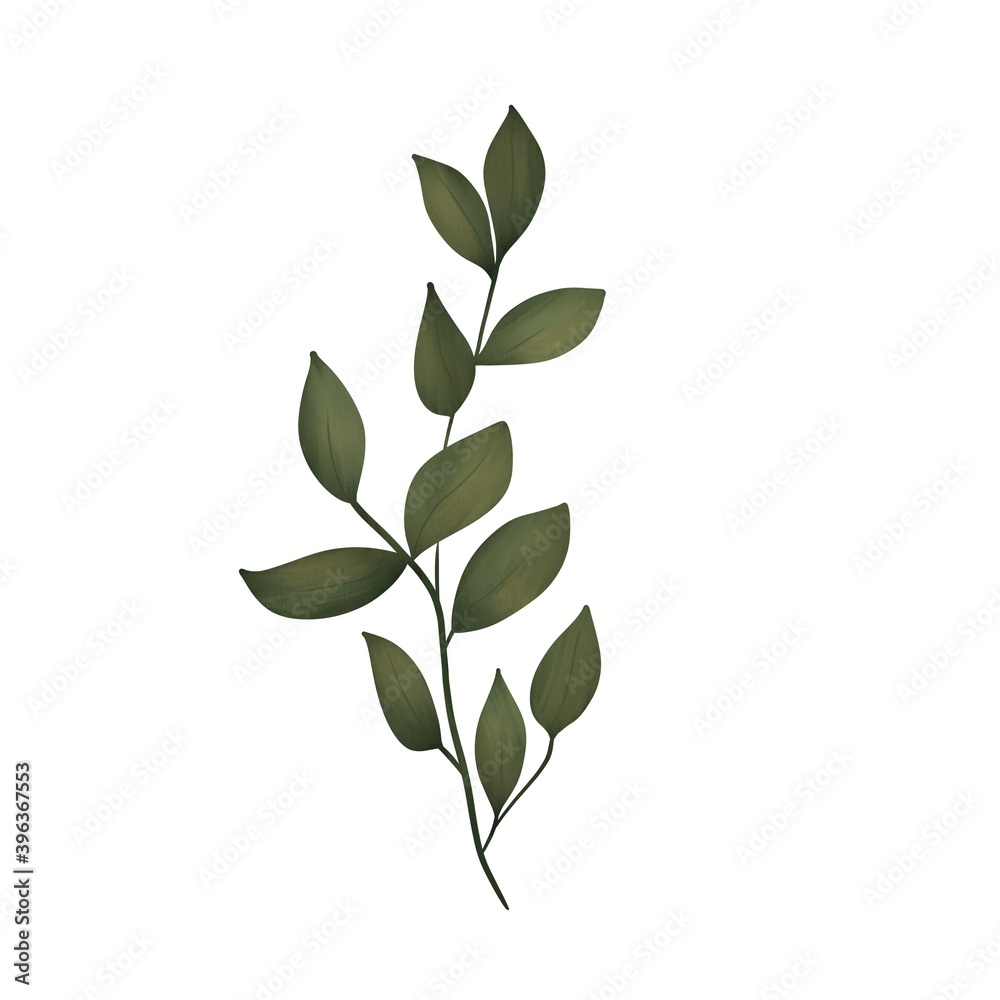 branch with leaves branch with leaves