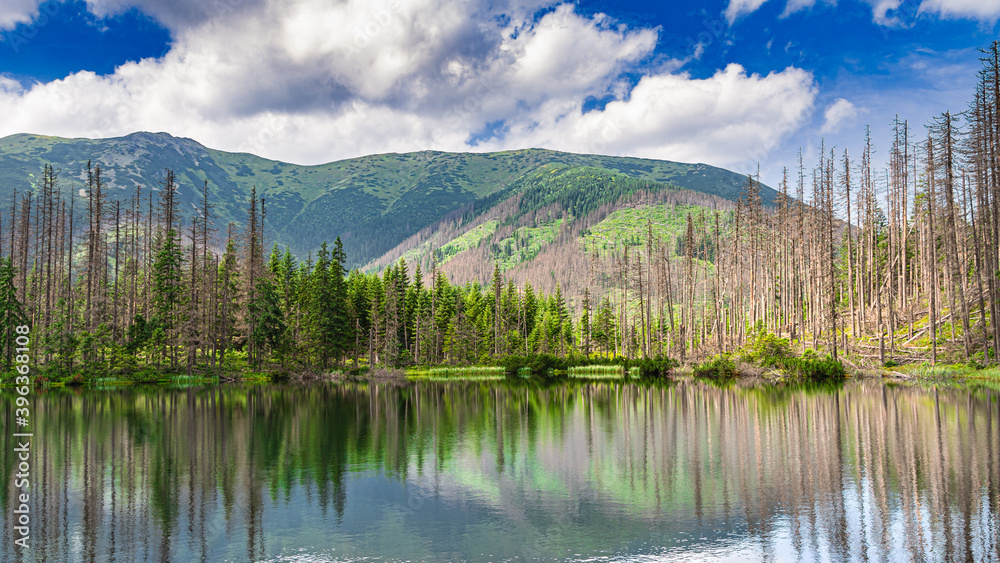Fototapeta premium góry Tatry - Smreczyński Staw