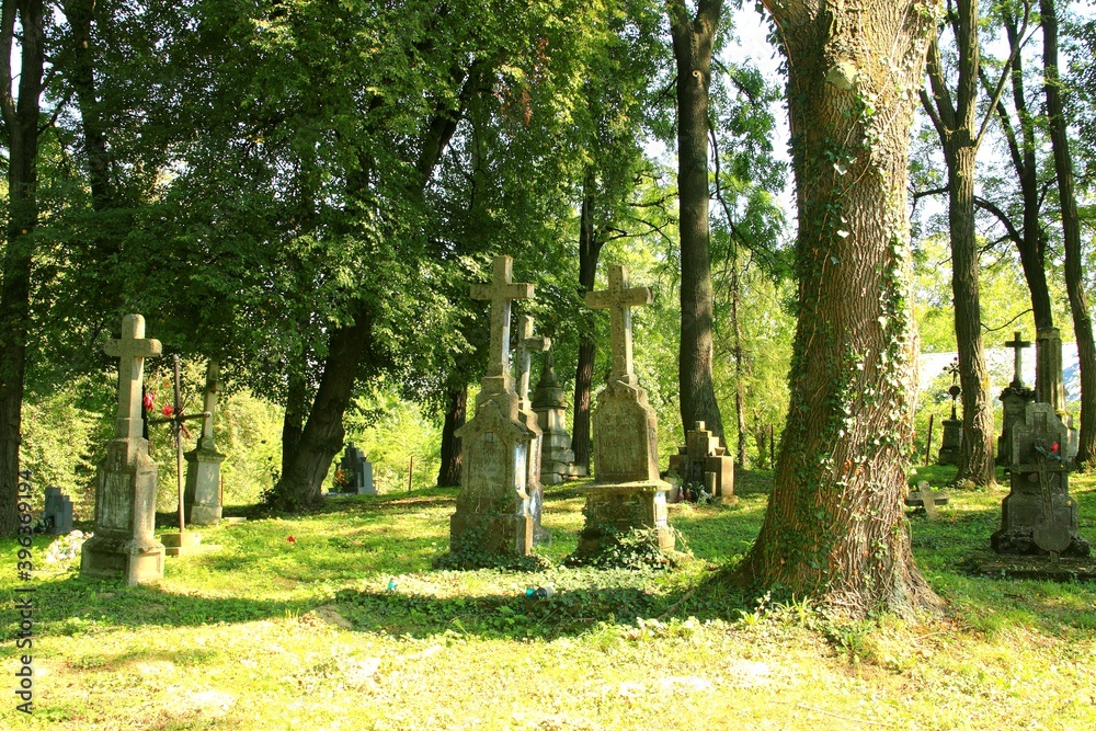 Naklejka premium Drohojów