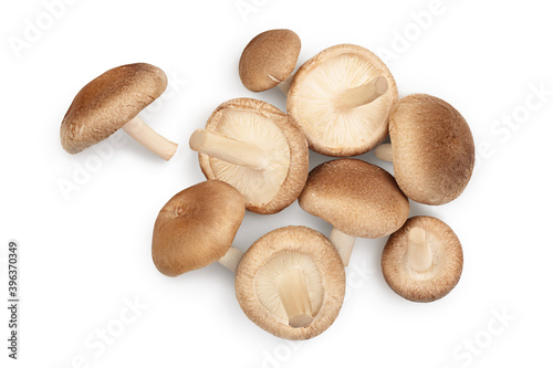 Fresh Shiitake mushroom isolated on white background with clipping path. Top view. Flat lay