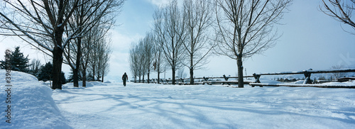 Walking in Snow photo