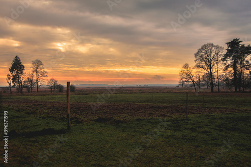 sunset in the forest