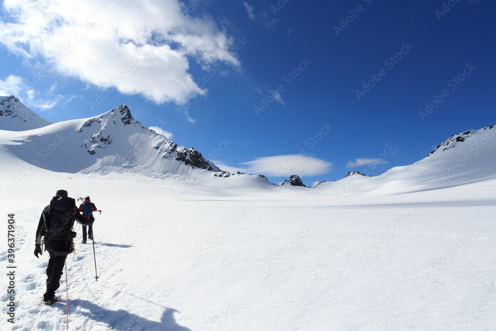 Rope team mountaineering with crampons on glacier Taschachferner towards Wildspitze and mountain snow panorama with blue sky in Tyrol Alps, Austria
