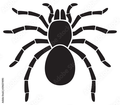 Tarantula Spider (insect) vector icon