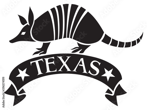Texas design with armadillo animal and banner photo