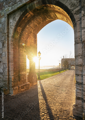 Gate in the Royal Palace in Budapest, Hungary