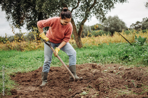 Female farmer digging ground in cloudy autumn day. Woman working with shovel in field