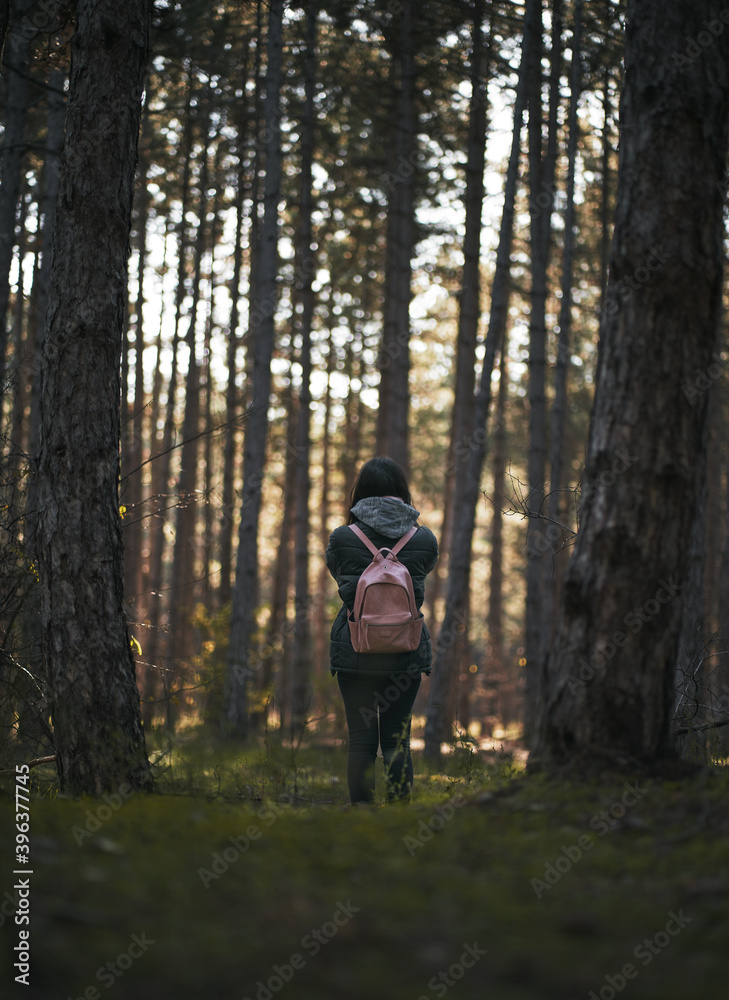 woman taking picture in forest