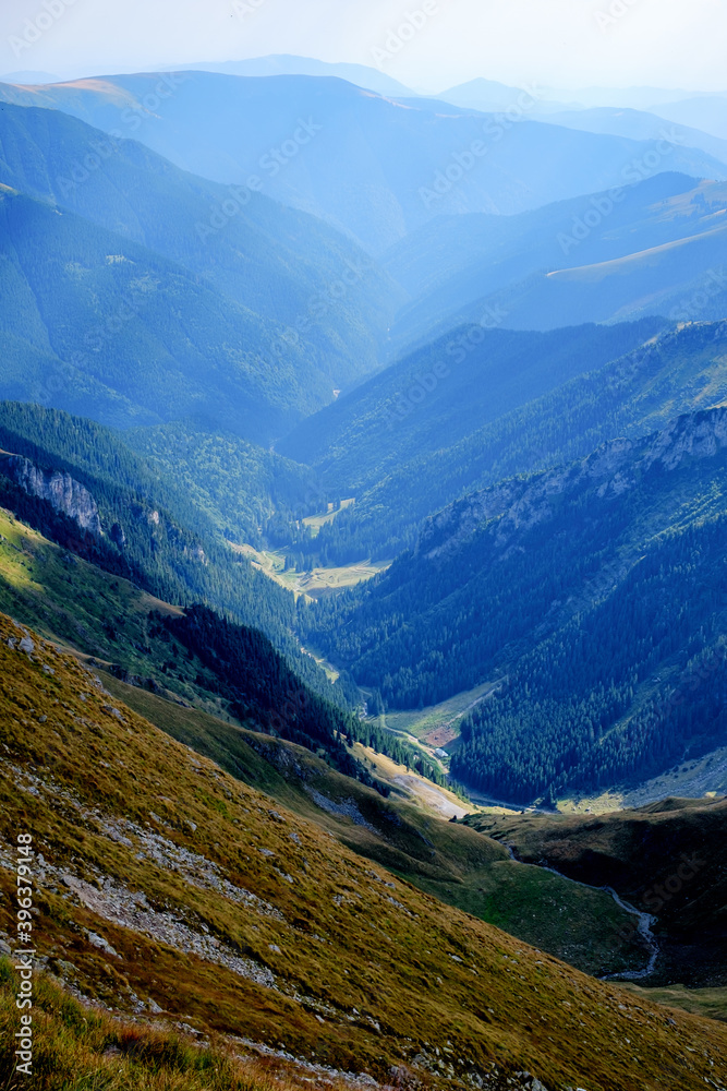 Obraz premium Suny day in Romanian mountains, Fagaras, Sibiu county