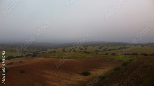 krajobraz mgła drzewa jesień natura niebo chmury