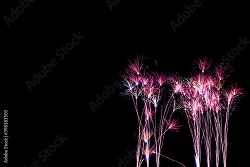 The color and beautiful of fireworks is looks like a grass flower, in the black sky at night time, for celebrating the holidays festival, to Happy New Year concept.