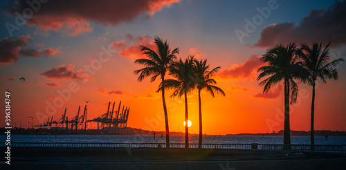 sunset on the beach tropical sun palms beautiful sky orange panoramic 