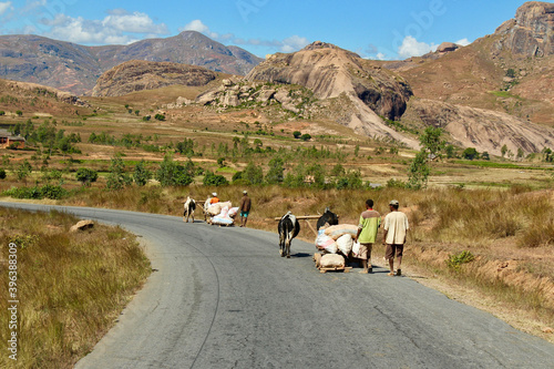 traditioneel transportmiddel in Madagaskar