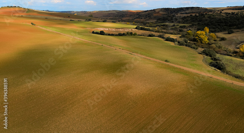 Aerial view of agricultural fields with yellow and green tones and contrasts of light and shadow.