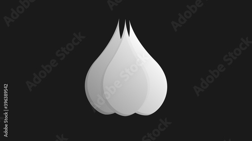 garlic on a black background, vector illustration. garlic for seasoning food. natural product. appetizing seasoning for Ukrainian cuisine. delicious garlic for borscht and lard