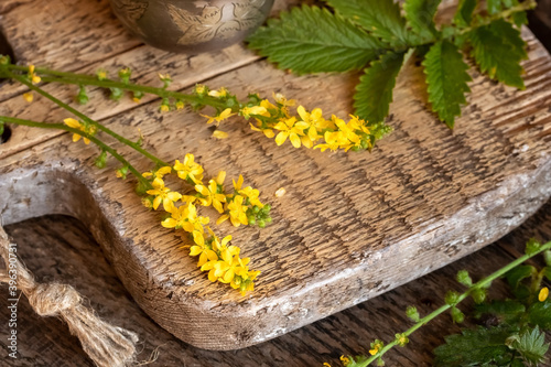 Fresh blooming agrimony plant on a wooden cutting board photo