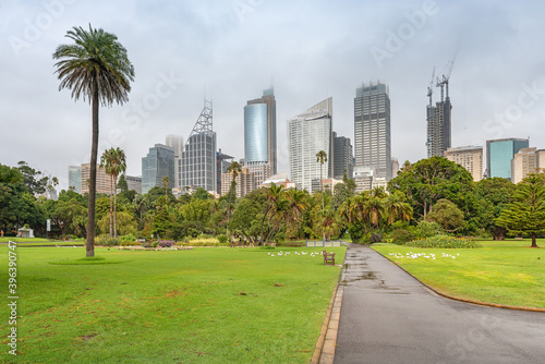 Sydney, New South Wales, Australia ; A view of high rise office buildings as seen from the Botanical Gardens in Sydney.