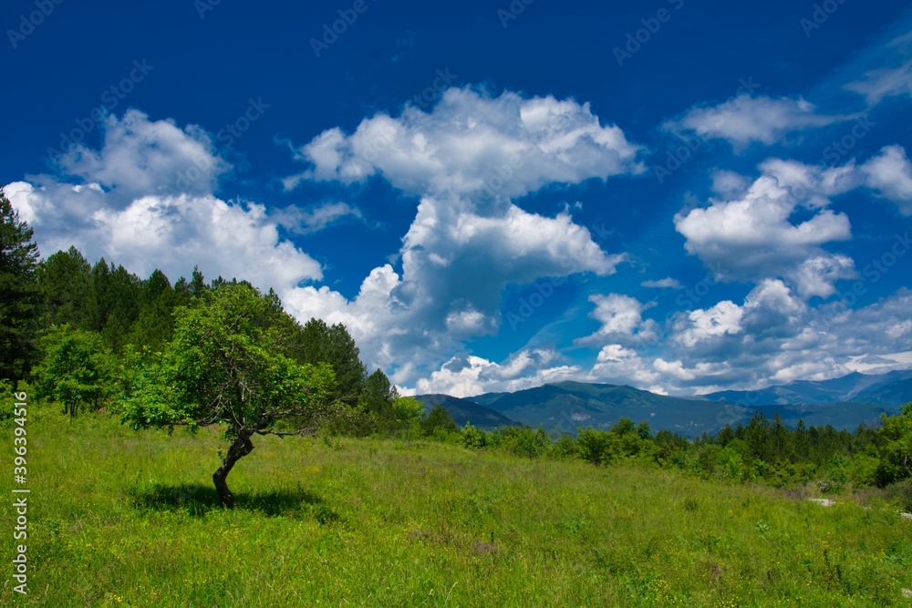 landscape with sky