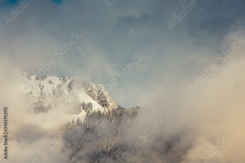 French Alps mountain view with pine trees
