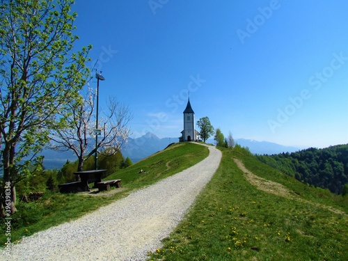 Church at Jamnik in spring with a white blooming fruit tree on a meadow