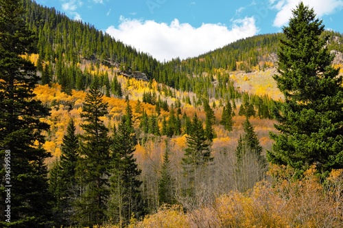 Guanella Pass road near Denver Colorado in autumn  photo